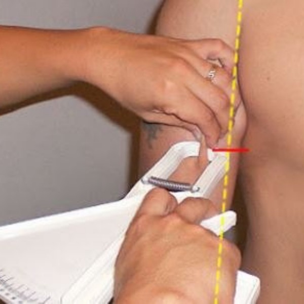 Los 8 pliegues del perfil restringido ISAK